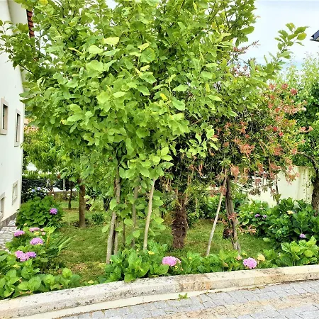 Casa Limia 게스트하우스 폰테 데 리마