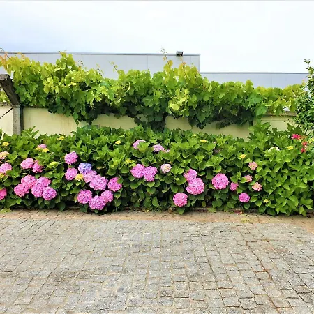 Casa Limia Gæstehus Ponte de Lima