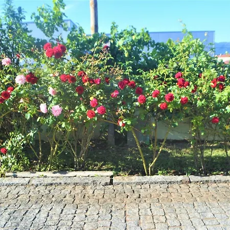 Casa Limia Guest house Ponte de Lima