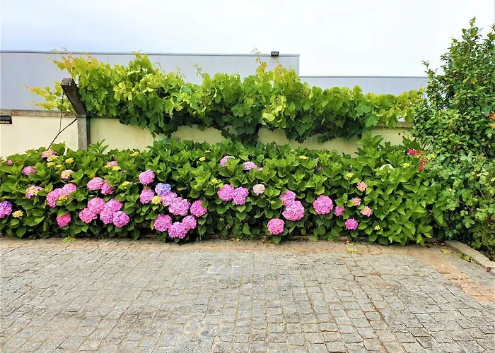 Casa Limia Gasthof Ponte de Lima